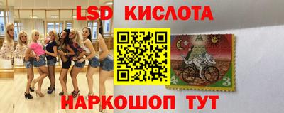 кокс Нальчик