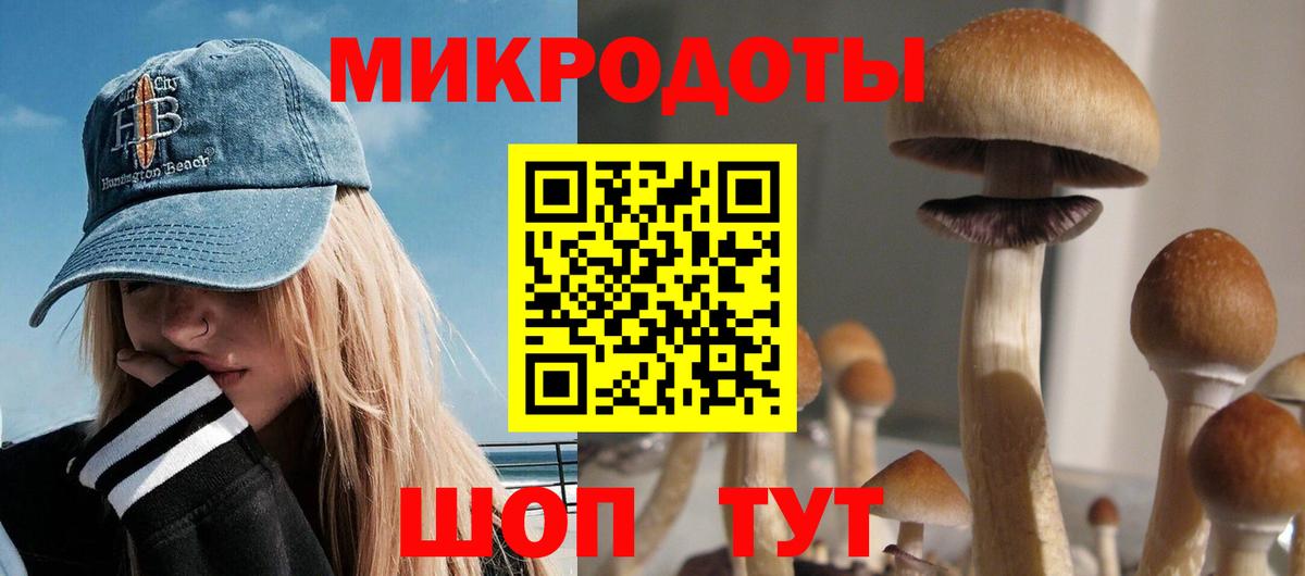 Галлюциногенные грибы Cubensis  Вход с VPN  купить  сайты  Будённовск 