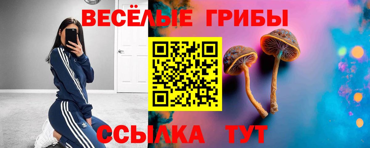 Галлюциногенные грибы ЛСД Будённовск