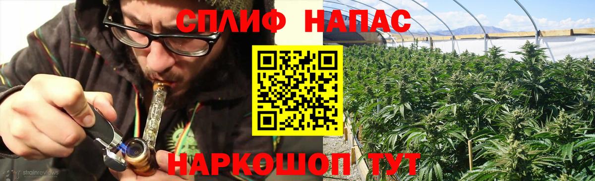 Бошки марихуана White Widow Будённовск